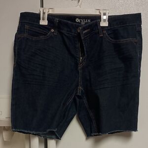 STYLUS Men's Dark Blue Jean Shorts